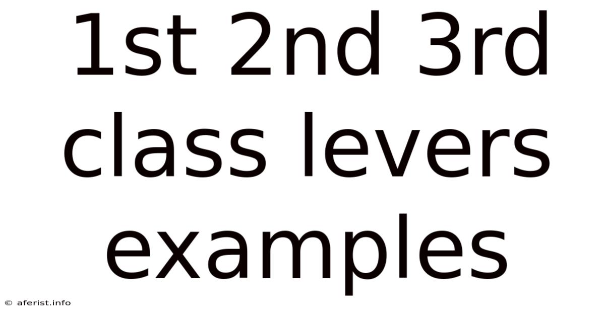 1st 2nd 3rd Class Levers Examples