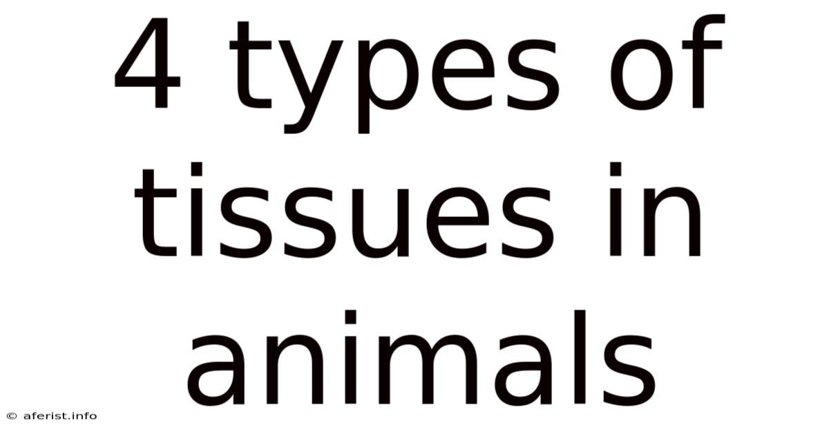 4 Types Of Tissues In Animals