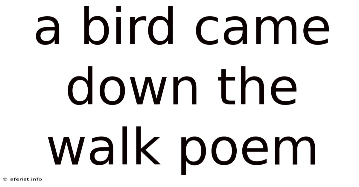 A Bird Came Down The Walk Poem