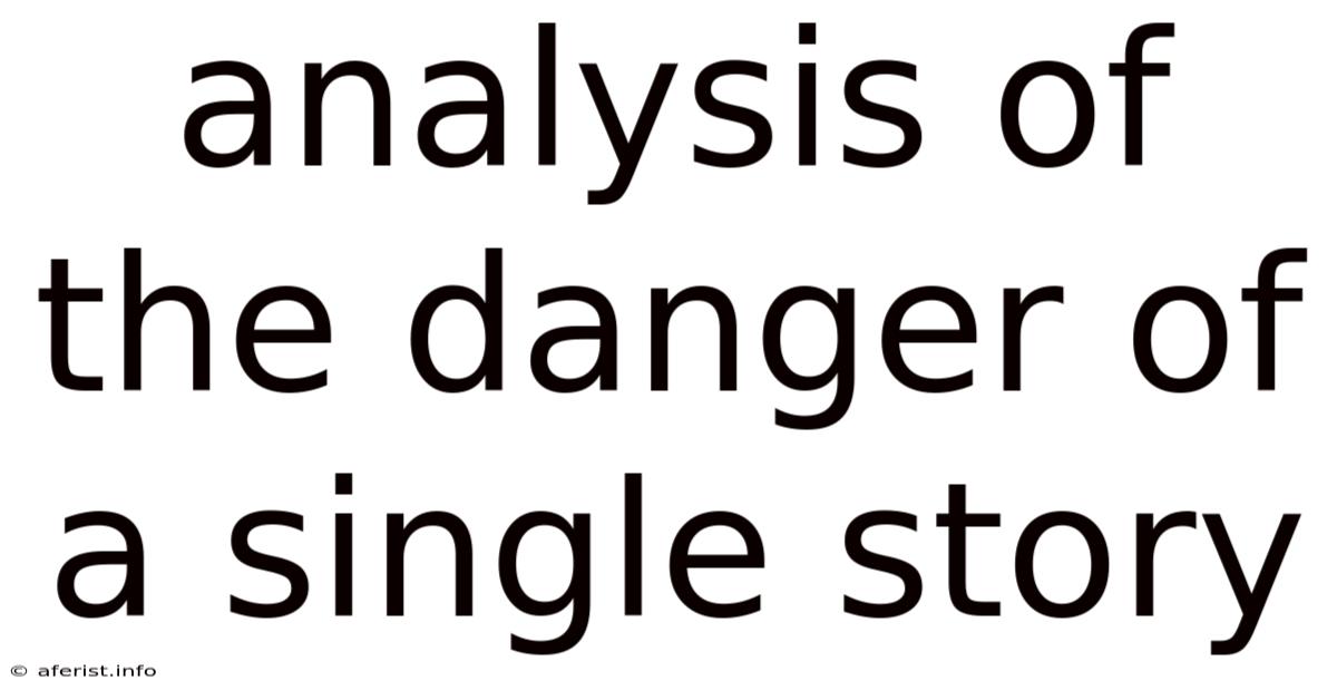 Analysis Of The Danger Of A Single Story