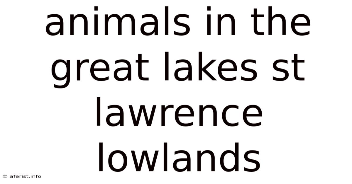 Animals In The Great Lakes St Lawrence Lowlands