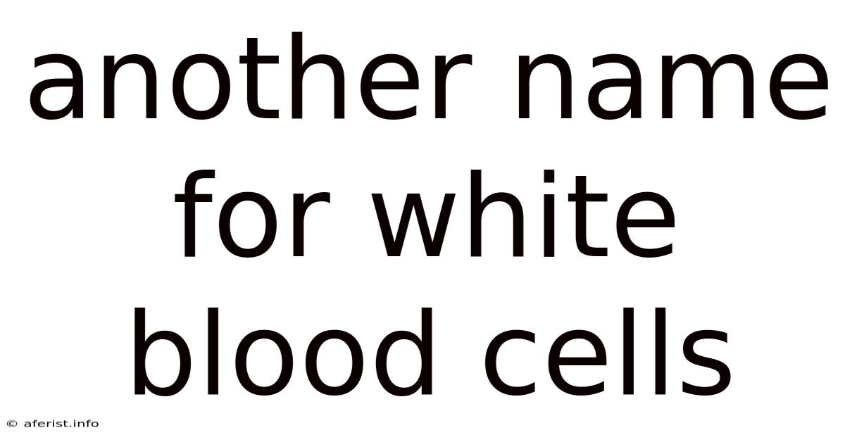 Another Name For White Blood Cells