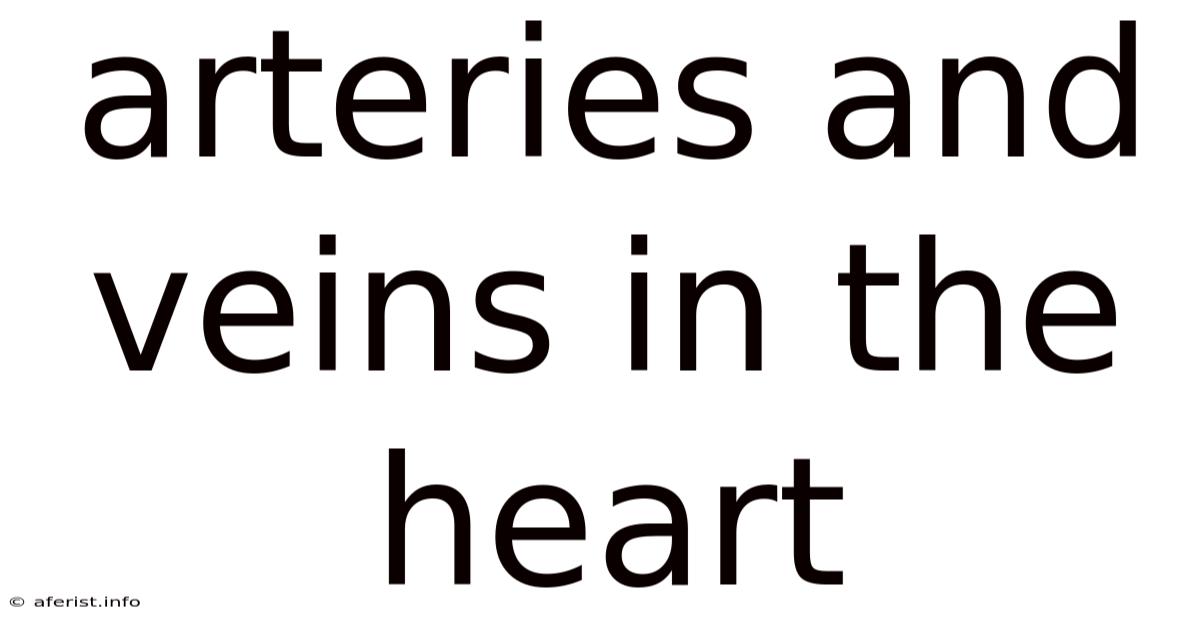 Arteries And Veins In The Heart