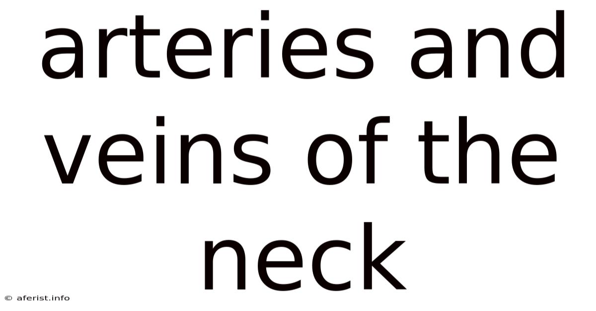 Arteries And Veins Of The Neck