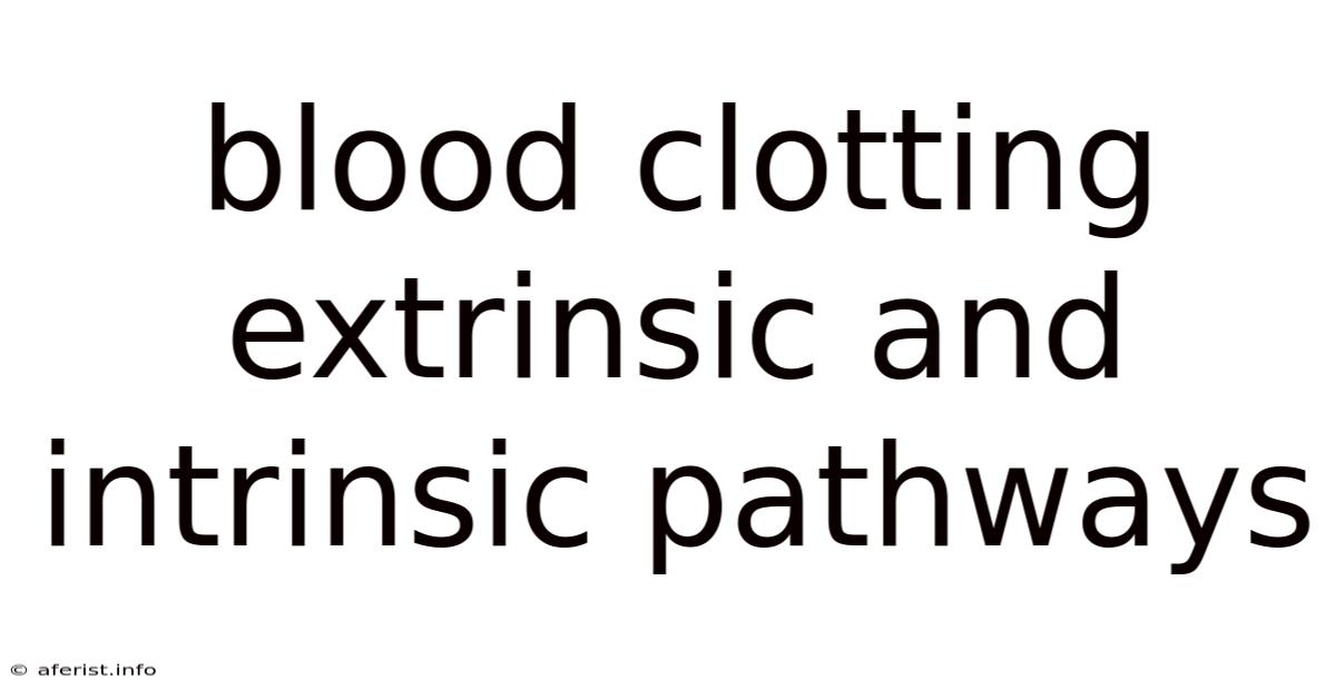 Blood Clotting Extrinsic And Intrinsic Pathways