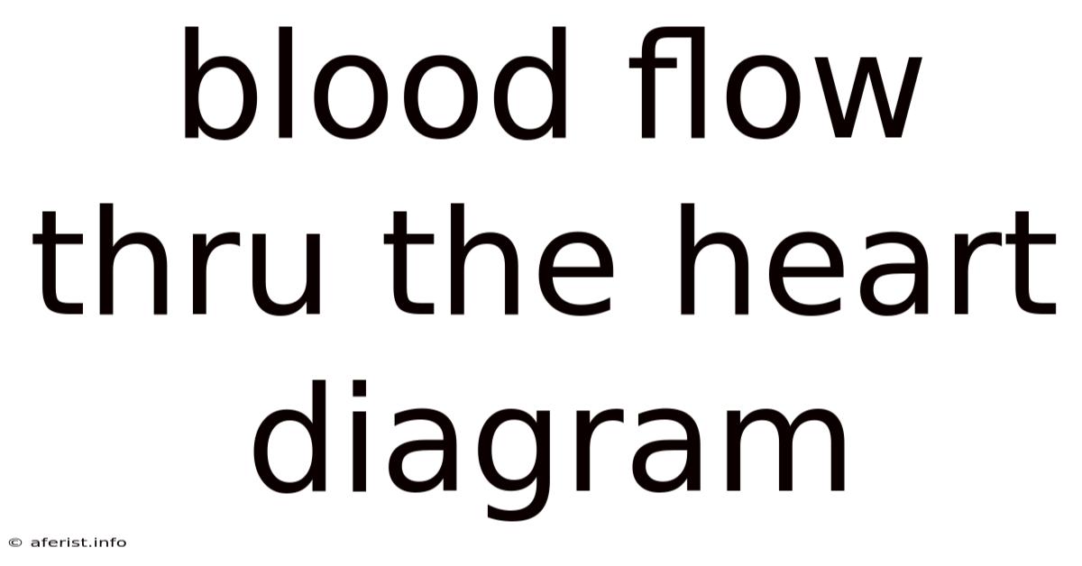 Blood Flow Thru The Heart Diagram