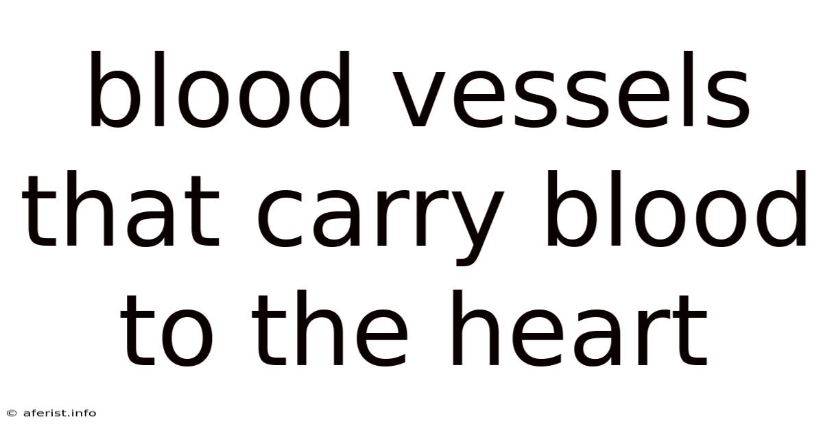 Blood Vessels That Carry Blood To The Heart