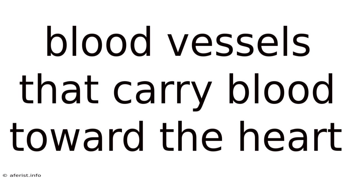 Blood Vessels That Carry Blood Toward The Heart