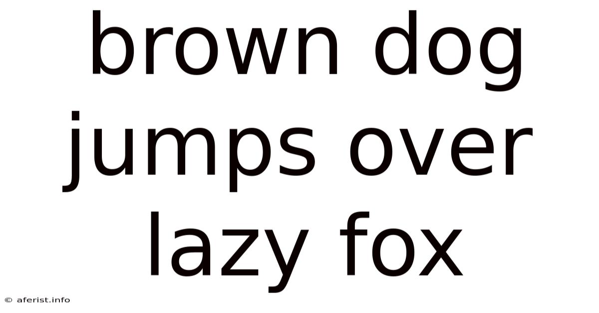Brown Dog Jumps Over Lazy Fox