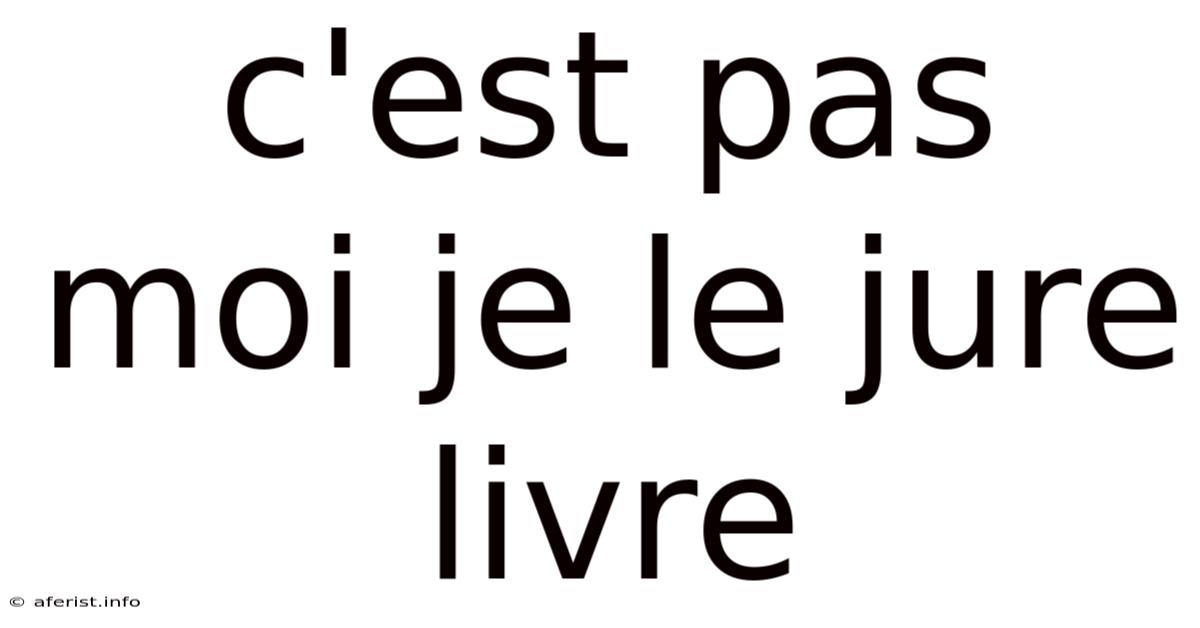C'est Pas Moi Je Le Jure Livre