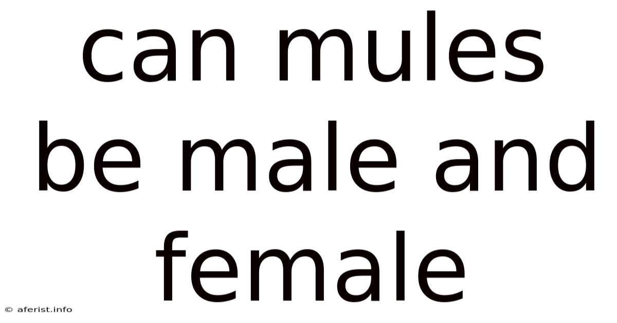 Can Mules Be Male And Female