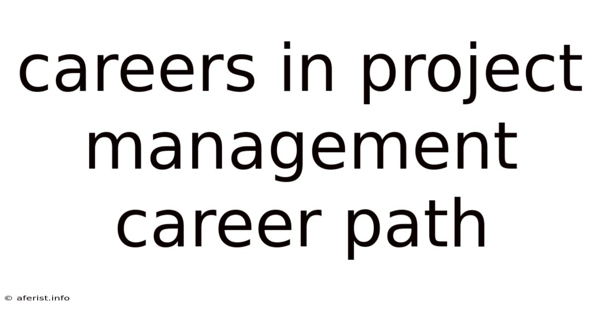 Careers In Project Management Career Path