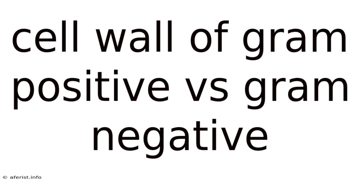 Cell Wall Of Gram Positive Vs Gram Negative