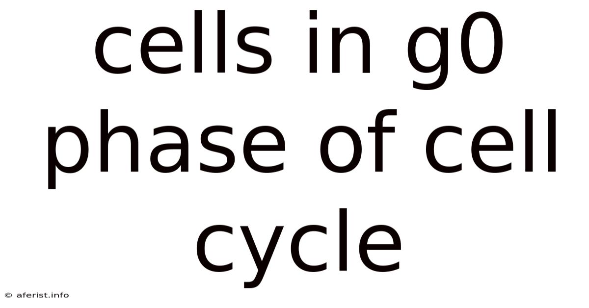 Cells In G0 Phase Of Cell Cycle