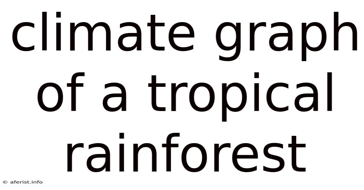 Climate Graph Of A Tropical Rainforest