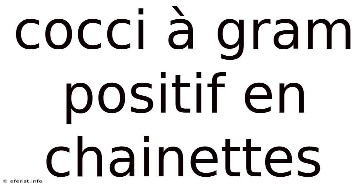 Cocci À Gram Positif En Chainettes