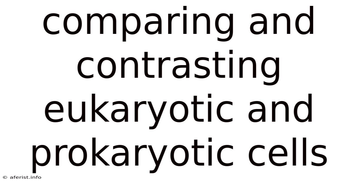 Comparing And Contrasting Eukaryotic And Prokaryotic Cells