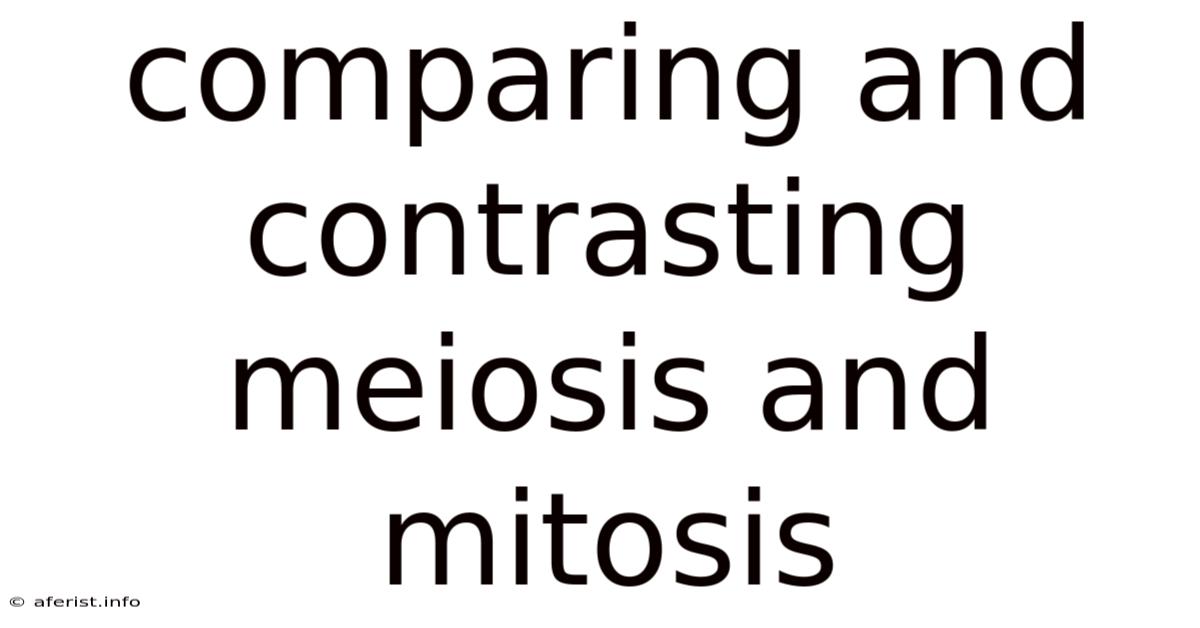 Comparing And Contrasting Meiosis And Mitosis