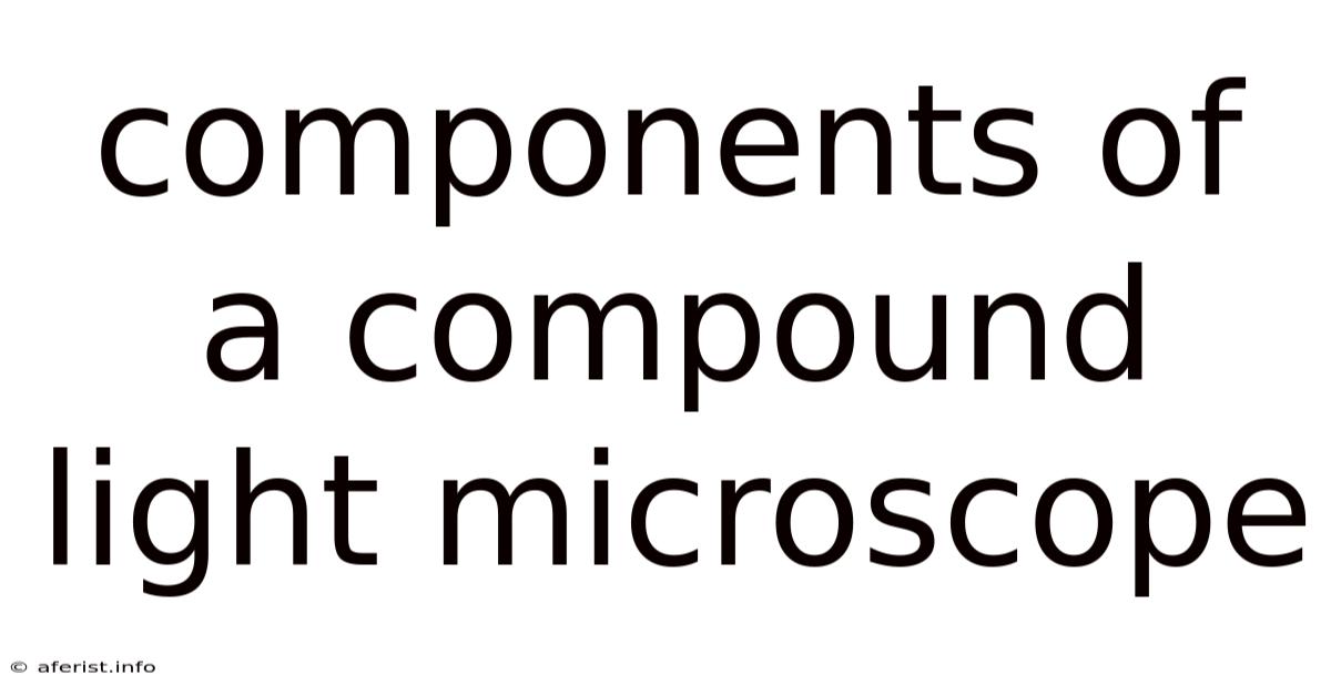 Components Of A Compound Light Microscope
