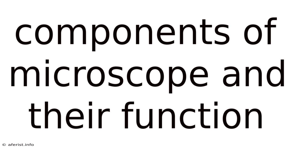 Components Of Microscope And Their Function
