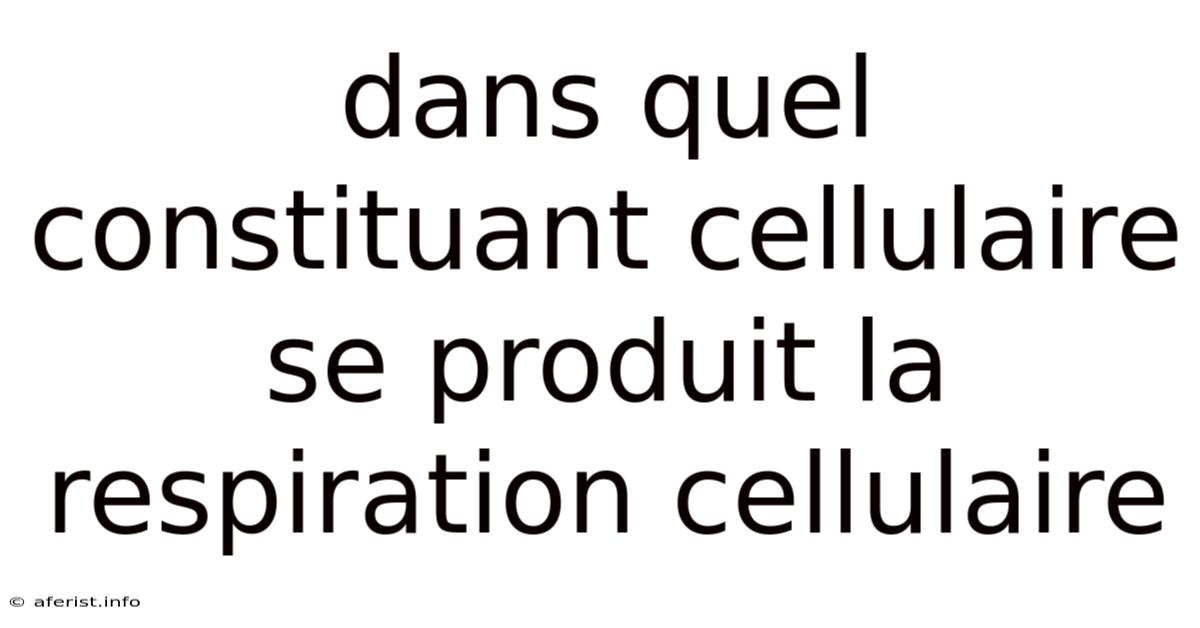 Dans Quel Constituant Cellulaire Se Produit La Respiration Cellulaire
