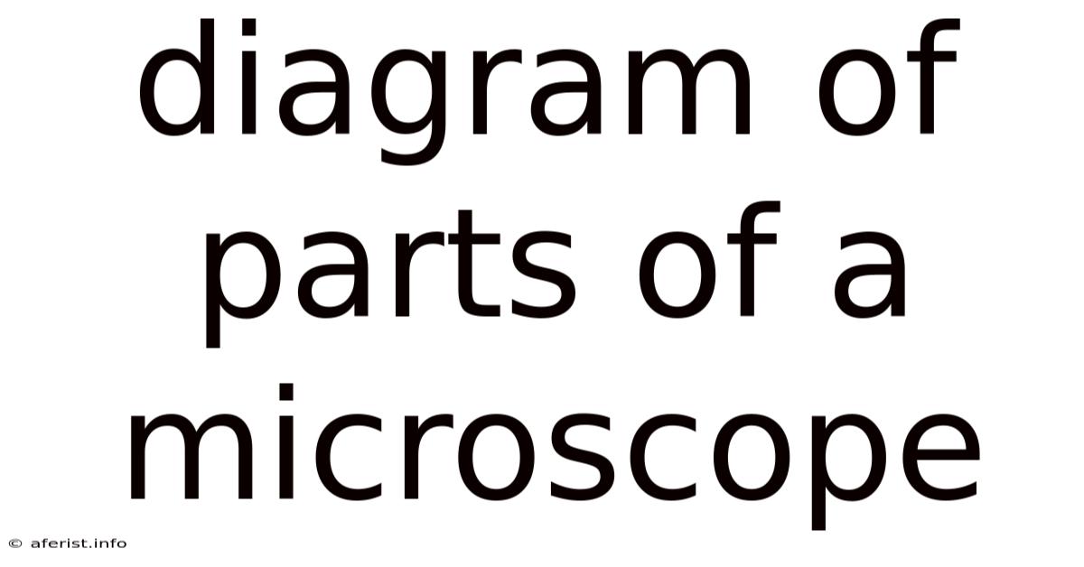 Diagram Of Parts Of A Microscope