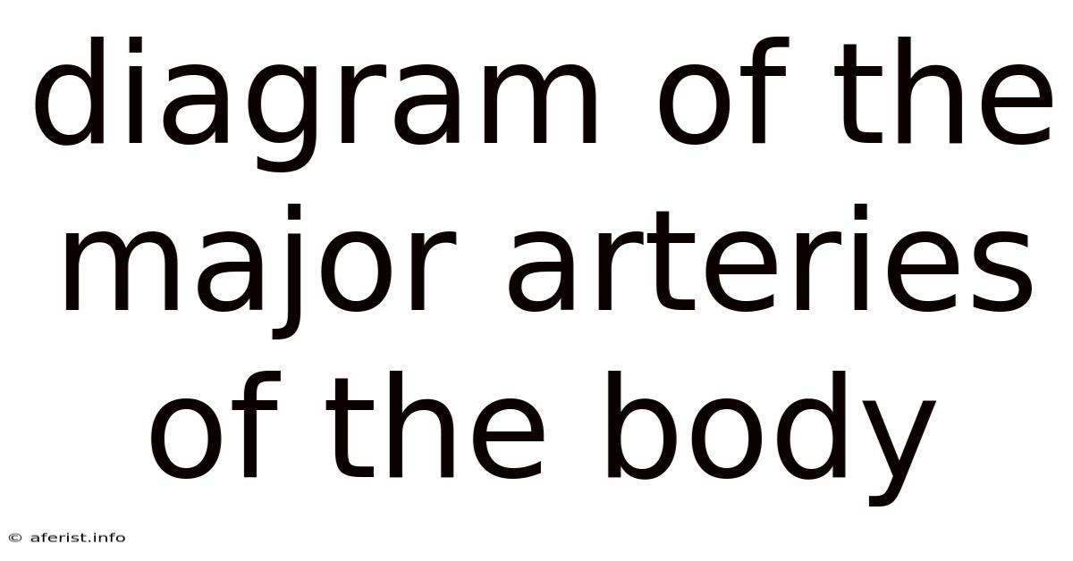 Diagram Of The Major Arteries Of The Body