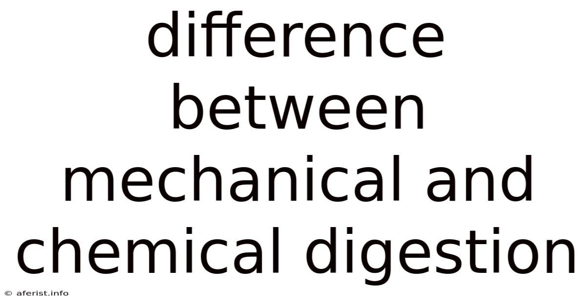 Difference Between Mechanical And Chemical Digestion