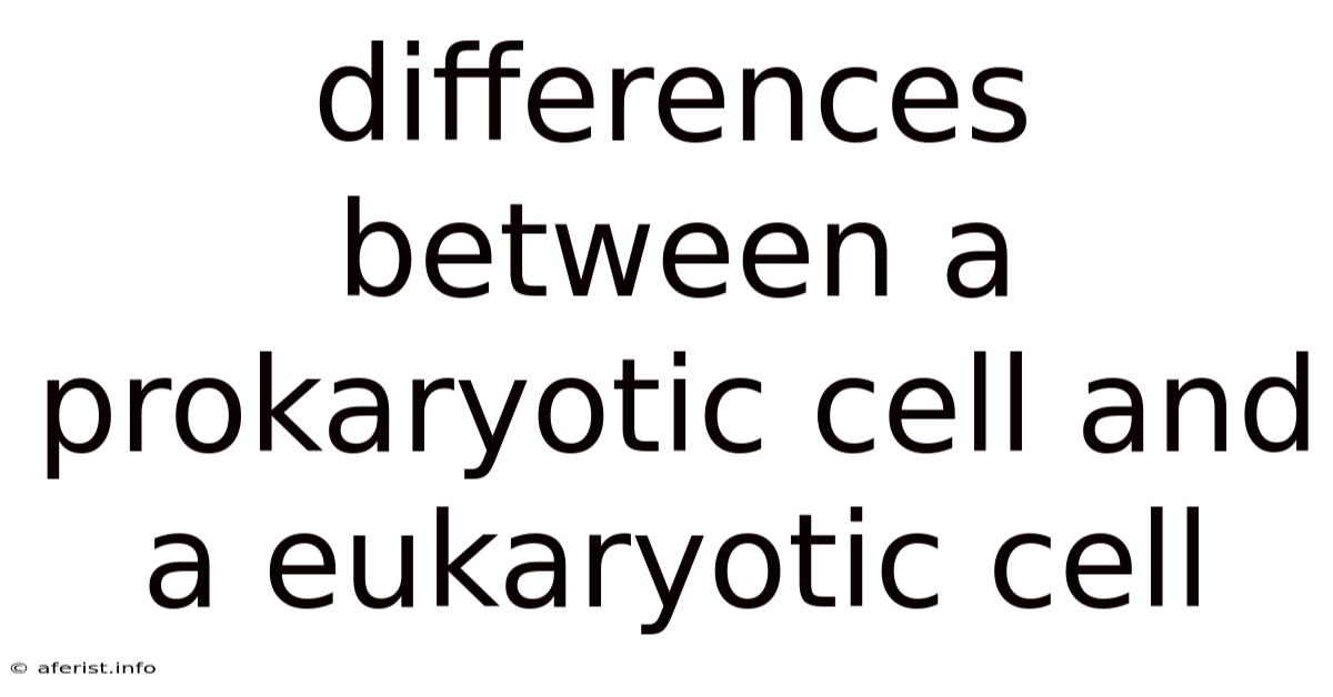 Differences Between A Prokaryotic Cell And A Eukaryotic Cell