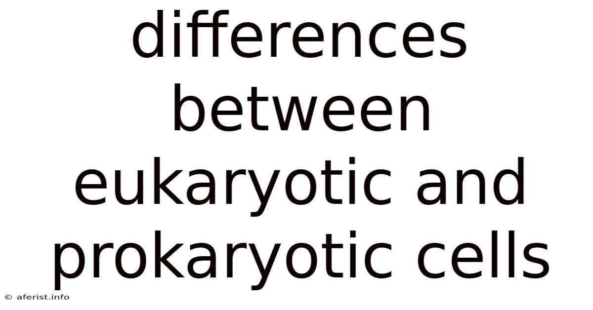 Differences Between Eukaryotic And Prokaryotic Cells