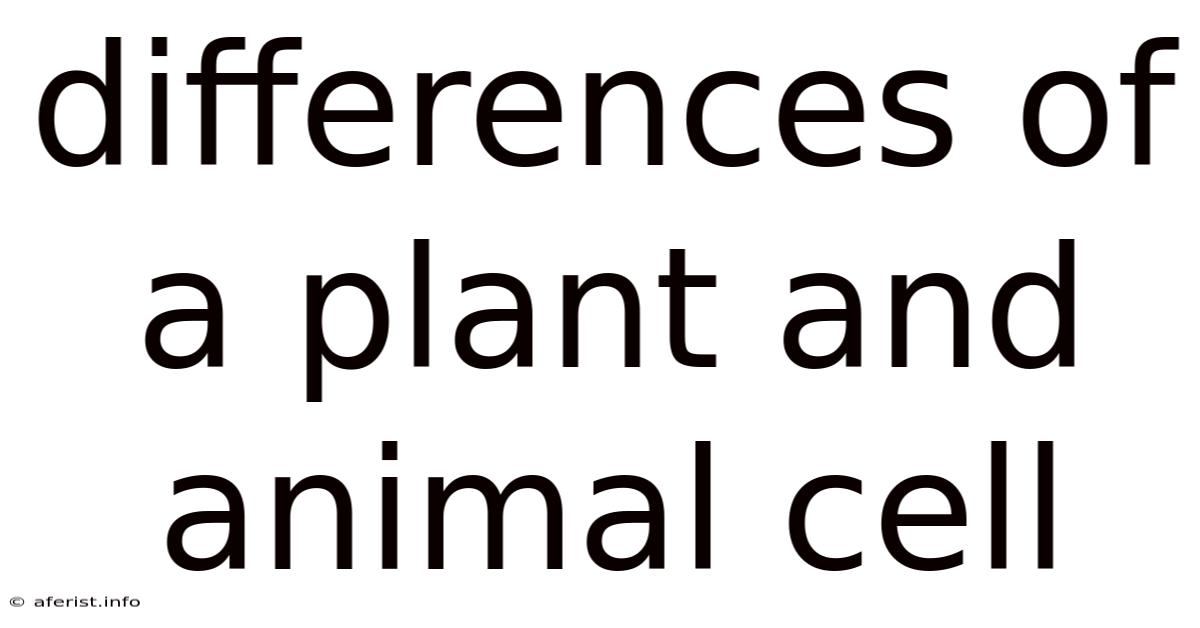 Differences Of A Plant And Animal Cell