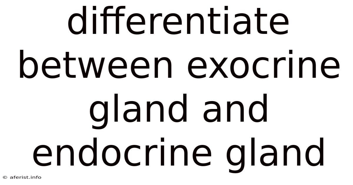 Differentiate Between Exocrine Gland And Endocrine Gland
