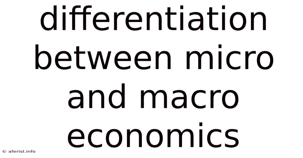 Differentiation Between Micro And Macro Economics