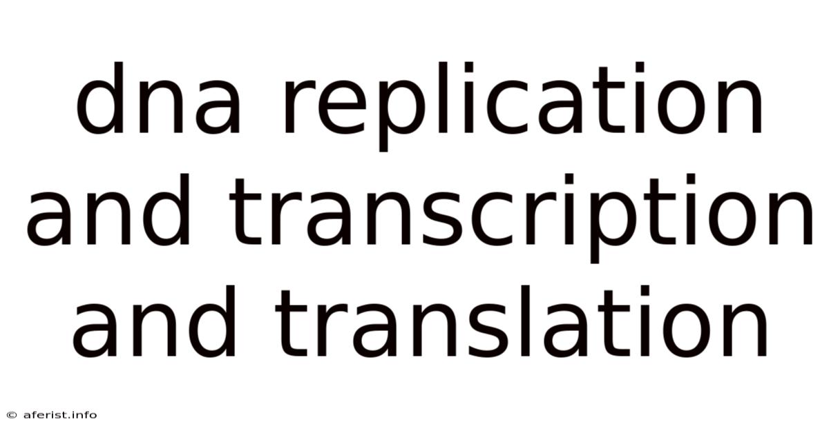 Dna Replication And Transcription And Translation
