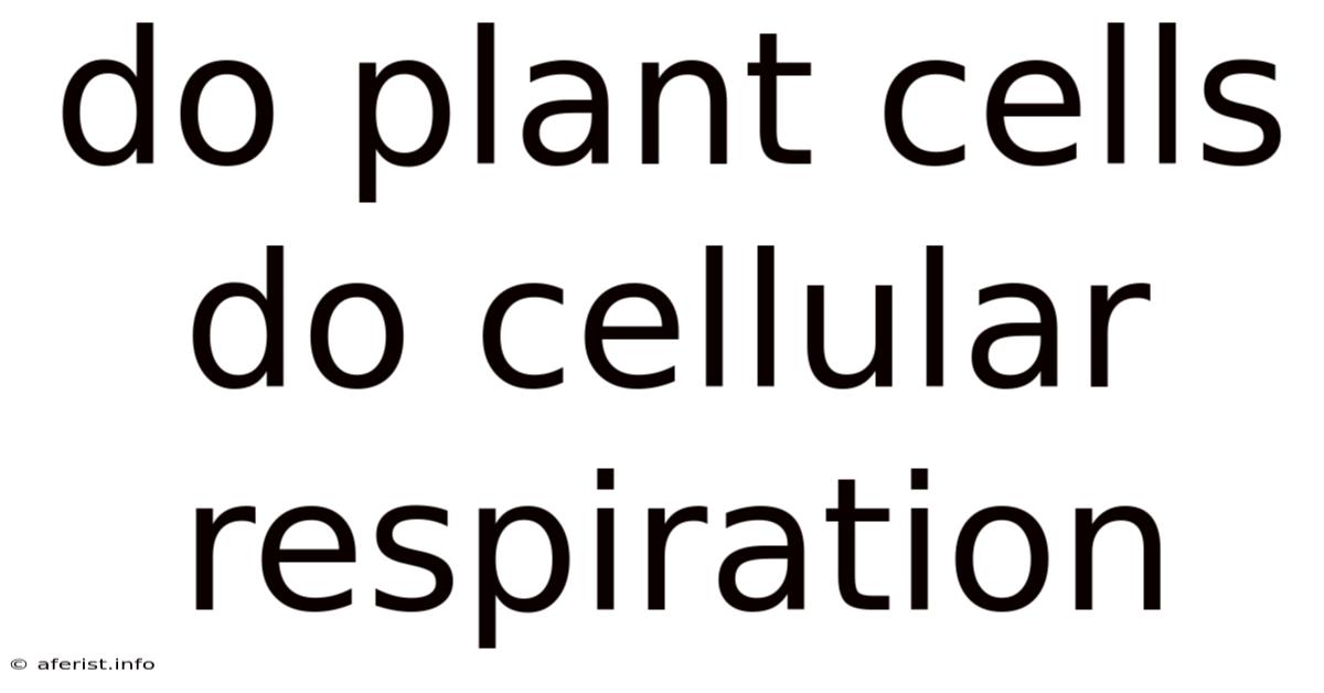 Do Plant Cells Do Cellular Respiration