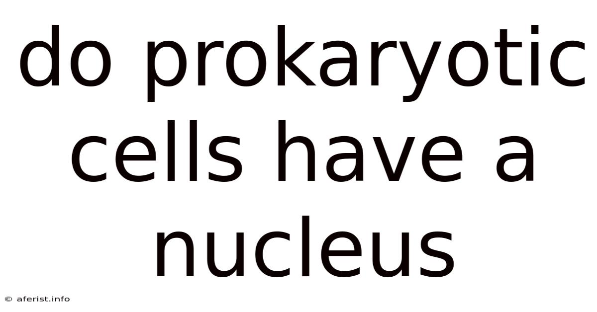 Do Prokaryotic Cells Have A Nucleus