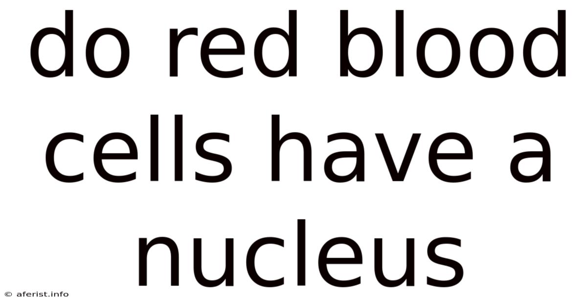 Do Red Blood Cells Have A Nucleus