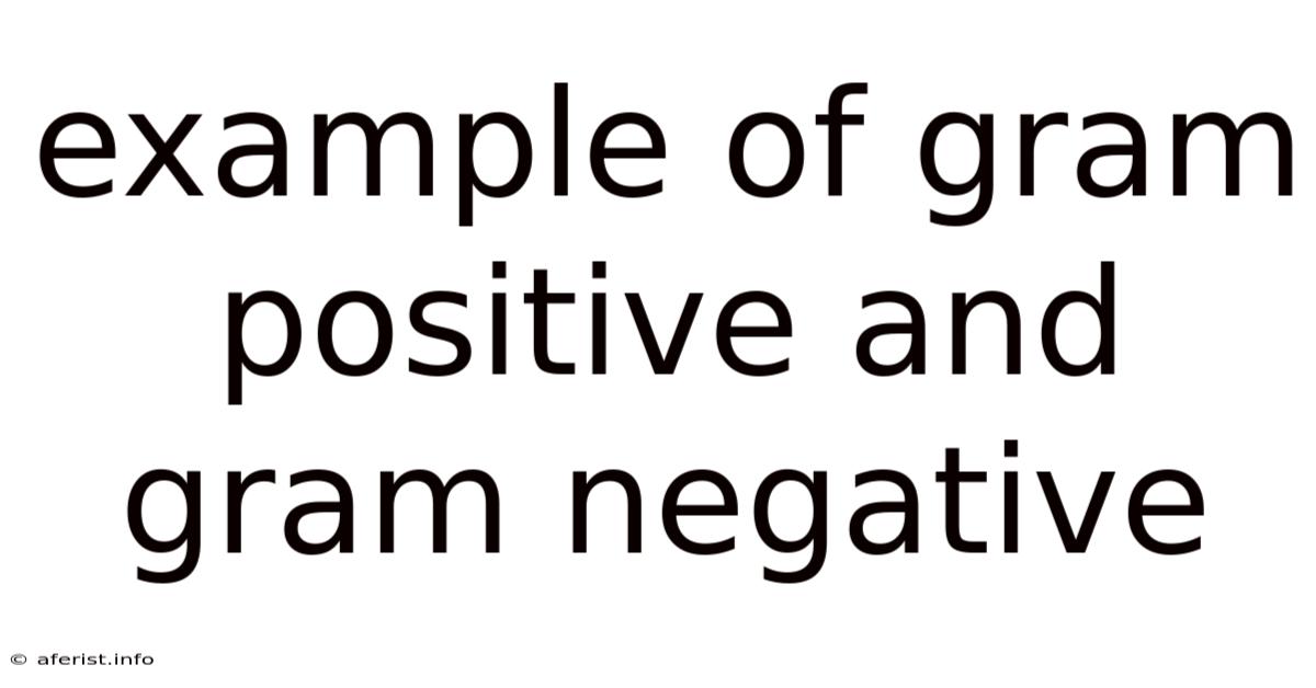 Example Of Gram Positive And Gram Negative