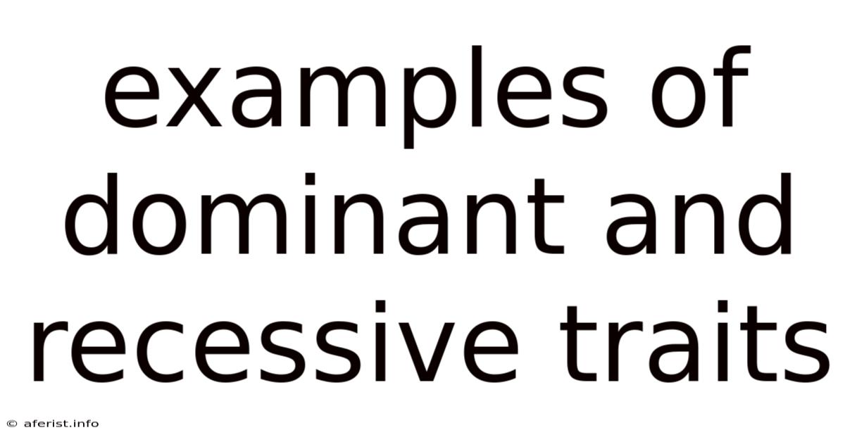 Examples Of Dominant And Recessive Traits