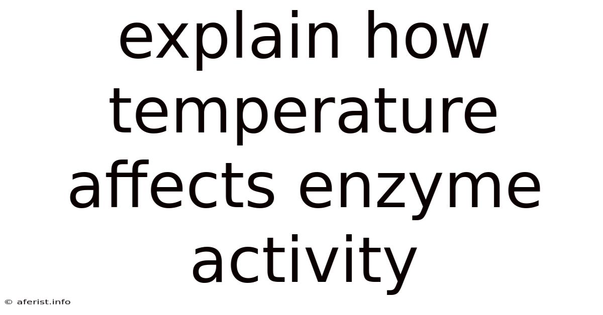 Explain How Temperature Affects Enzyme Activity