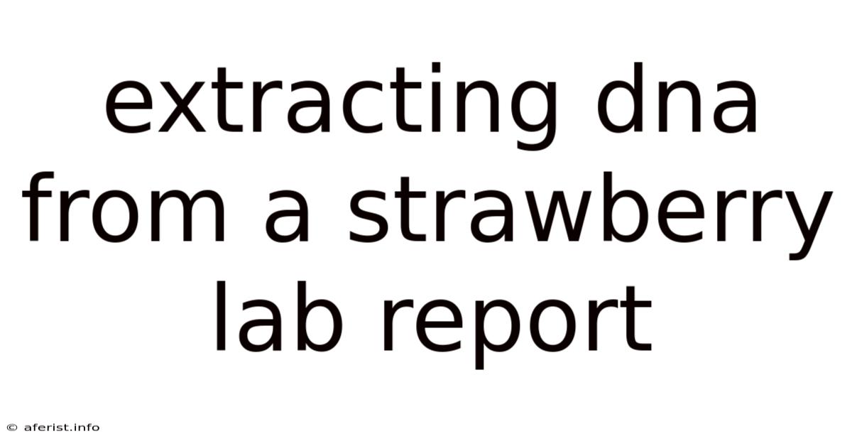 Extracting Dna From A Strawberry Lab Report