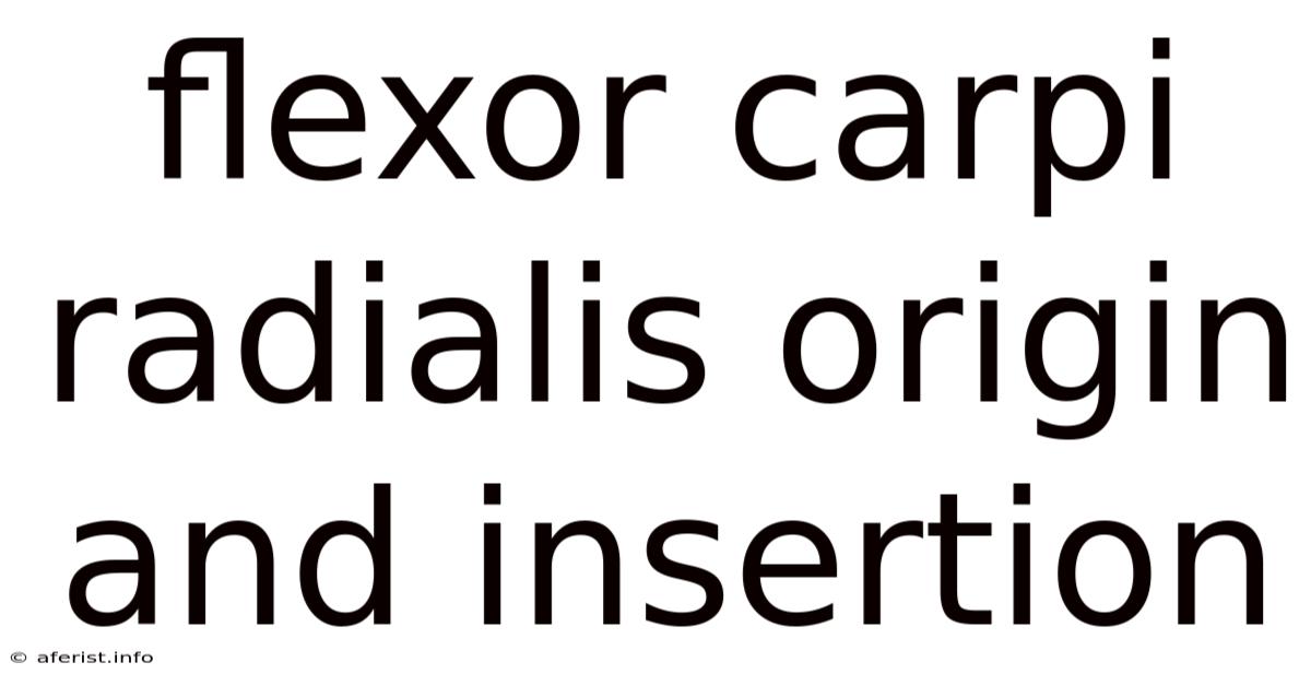 Flexor Carpi Radialis Origin And Insertion