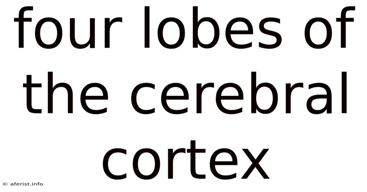 Four Lobes Of The Cerebral Cortex
