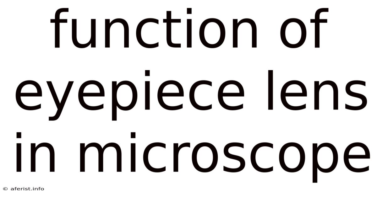 Function Of Eyepiece Lens In Microscope