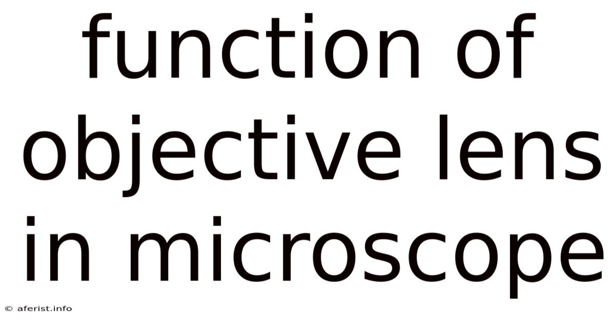 Function Of Objective Lens In Microscope