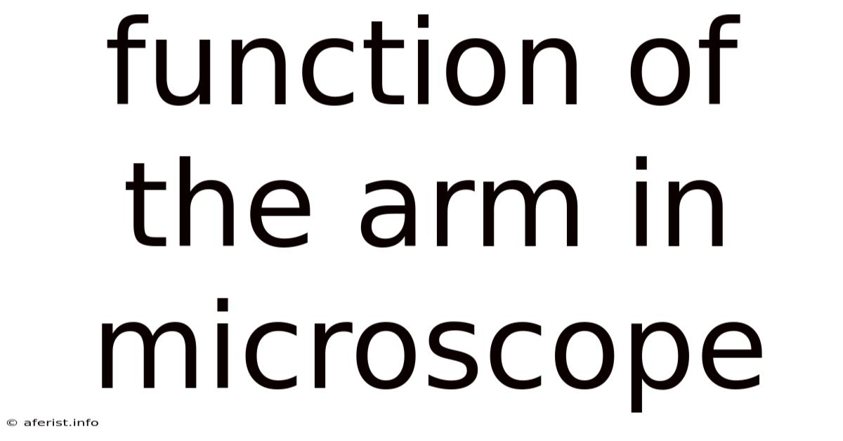 Function Of The Arm In Microscope