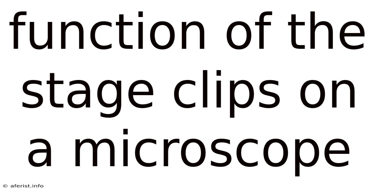 Function Of The Stage Clips On A Microscope