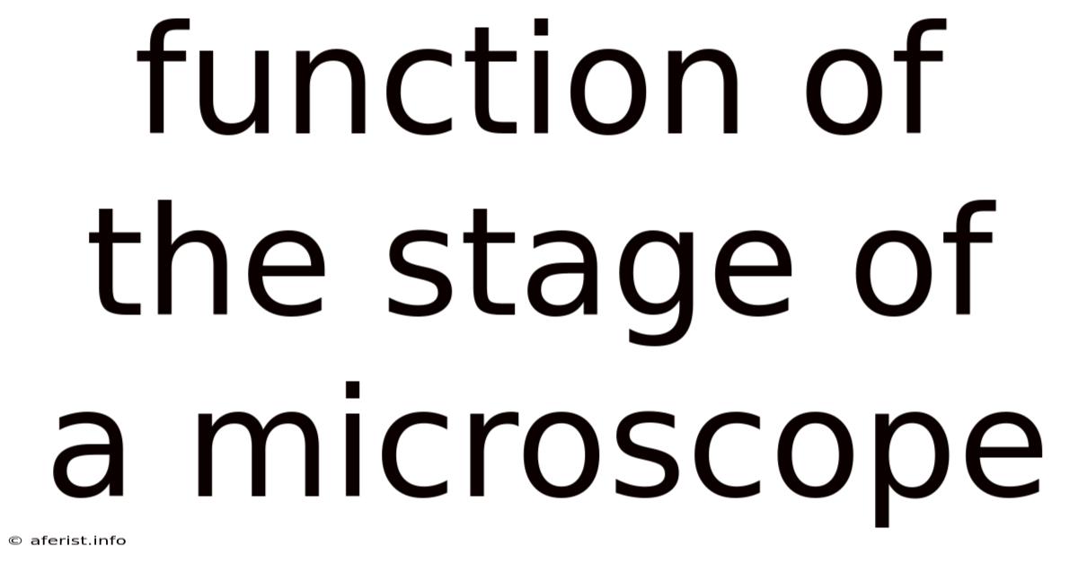 Function Of The Stage Of A Microscope