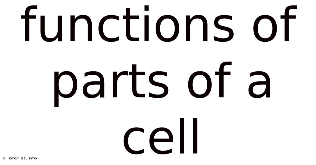 Functions Of Parts Of A Cell