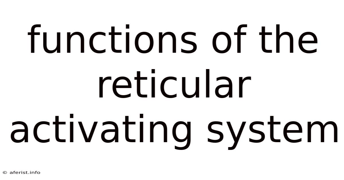 Functions Of The Reticular Activating System